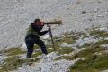 Fotografiando aves alpinas