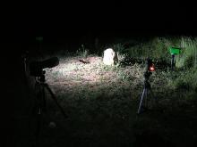SESIONES Fotograficas
