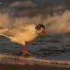 Descripción: Gaviota cabecinegra (Larus melanocephalus)